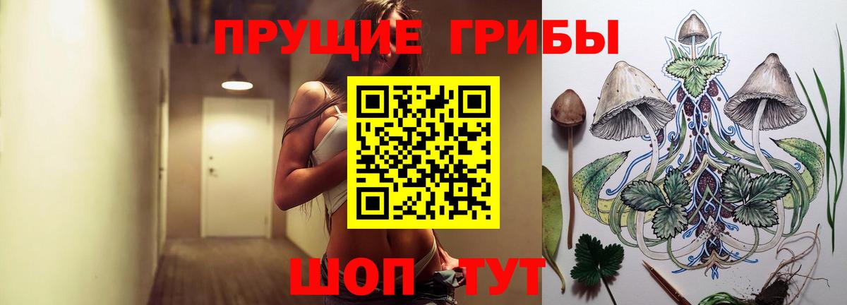 Псилоцибиновые грибы ЛСД Киселёвск